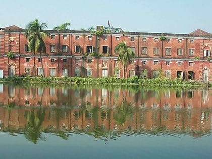 Feni Government College