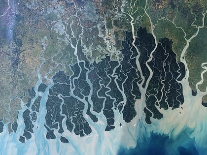 Sundarbans East Wildlife Sanctuary