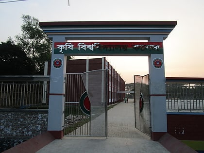 agricultural university college mymensingh