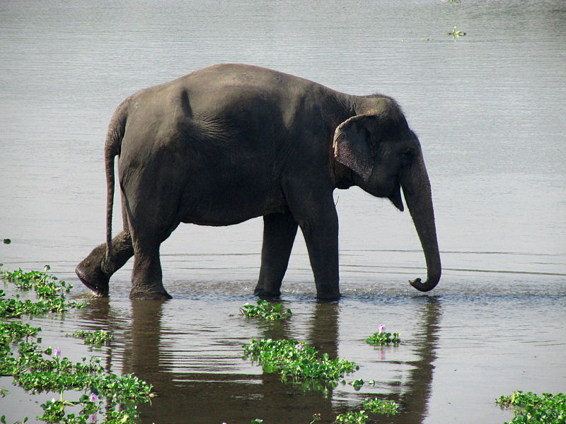 Rangamati