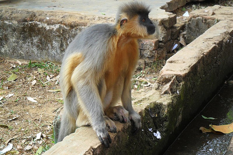 Chittagong Zoo