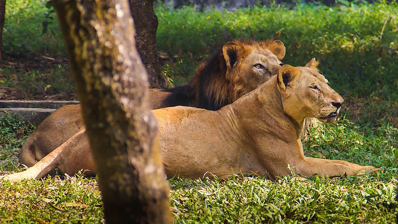 Dhaka Zoo