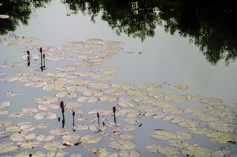 Sitakunda Botanical Garden and Ecopark