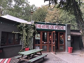 Théâtre de Poche