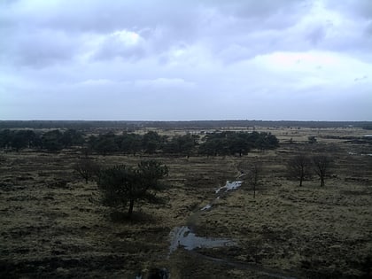 Parque transfronterizo De Zoom-Kalmthoutse Heide