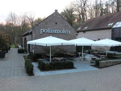 pollismolen bree