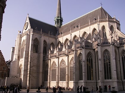Collégiale Saint-Pierre de Louvain