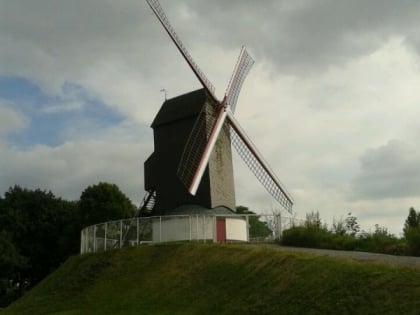 Koeleweimolen