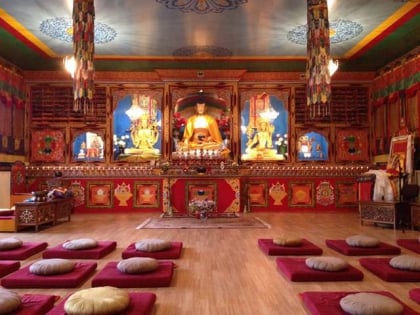 tibetaans instituut amberes