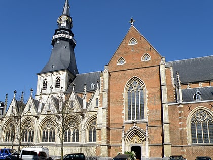 cathedrale saint quentin de hasselt