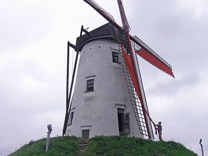 Schellemolen