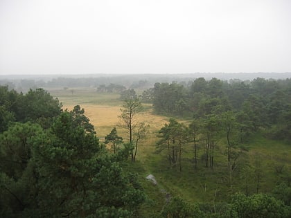 kalmthout heath