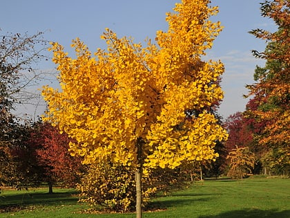 Arboretum de Wespelaer