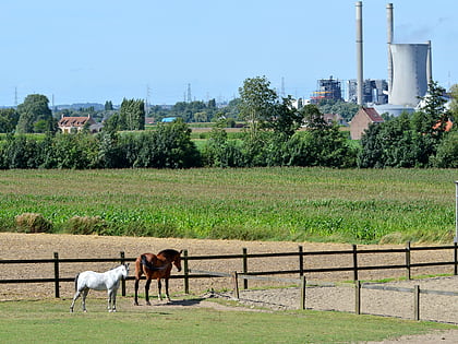 Kluisbergen