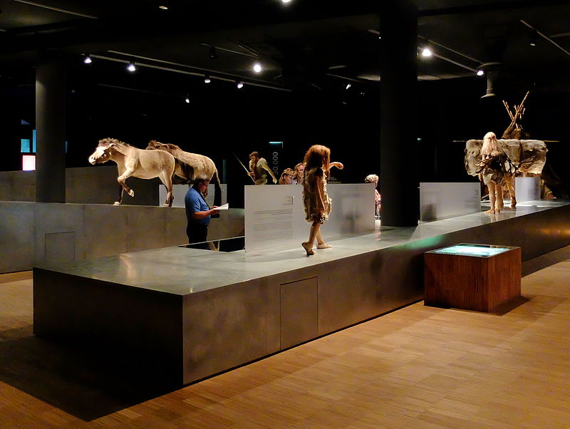 Musée gallo-romain de Tongres