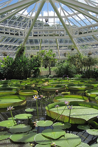 Jardín botánico nacional de Bélgica