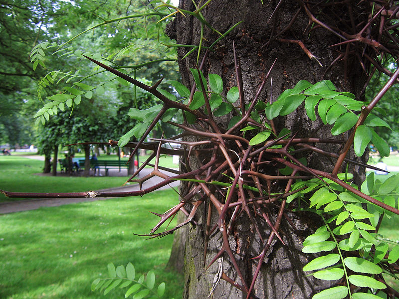 Jardin botanique de Liège