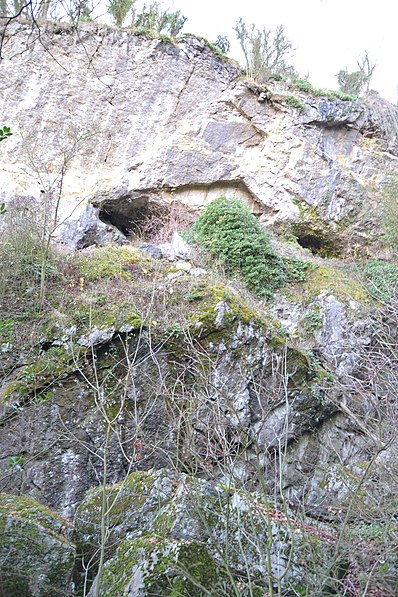 Grottes Schmerling