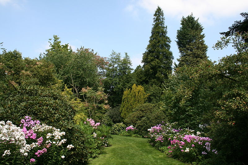 Arboretum Kalmthout