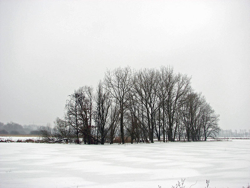 Bourgoyen-Ossemeersen