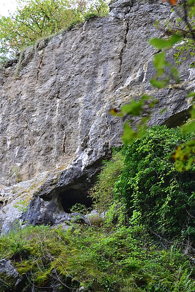 Grottes Schmerling