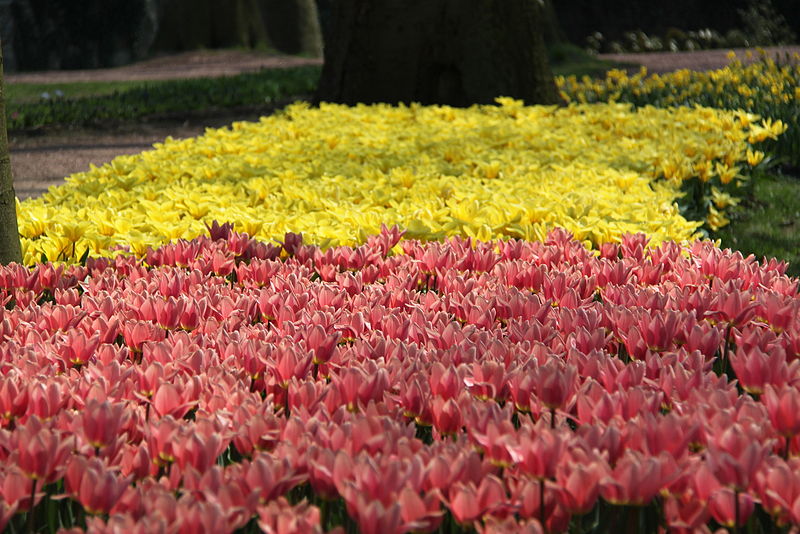 Groot-Bijgaarden Castle