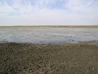 mare doursi sylvo pastoral and partial faunal reserve of the sahel