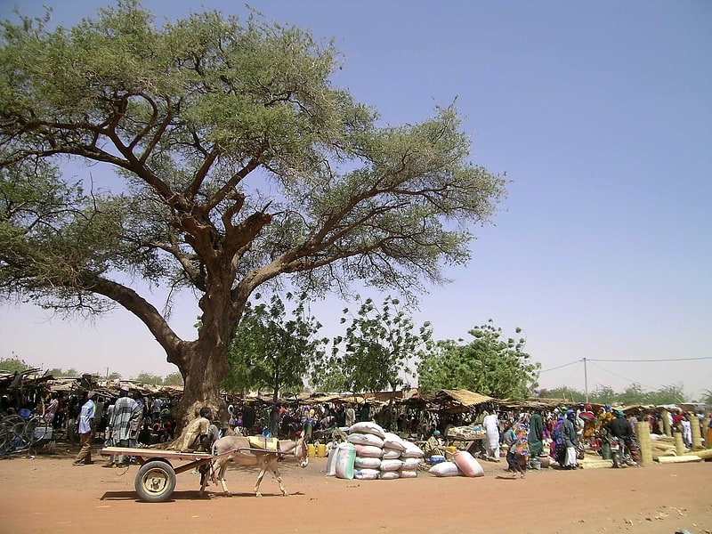 Réserve sylvo-pastorale et partielle de faune du Sahel