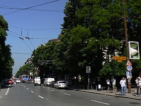 Patriarch Evtimiy Boulevard
