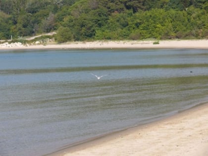 Plaża