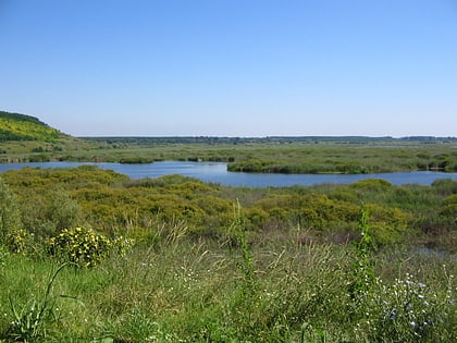 Reserva natural de Srébarna