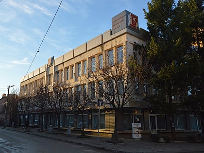 international business school botevgrad