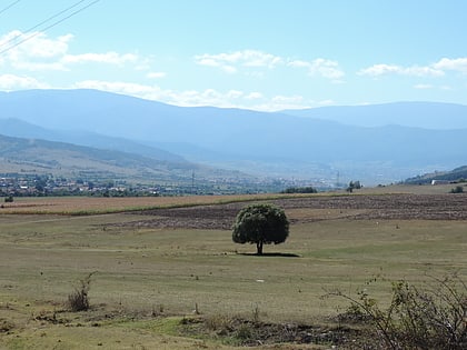 chepino valley