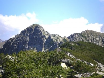 vazela pirin national park