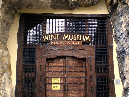 wine museum plewen