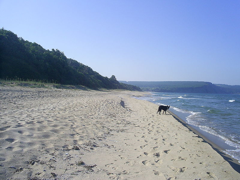 Plaża Irakli