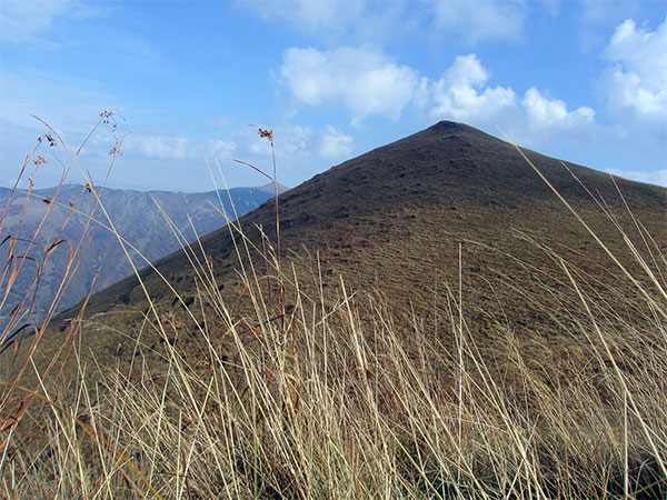 Midžor