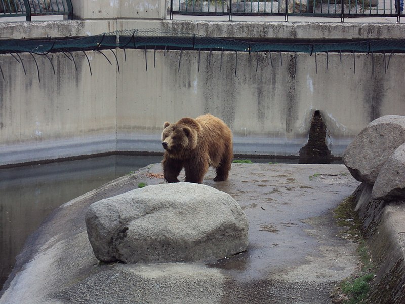 Zoológico de Sofía