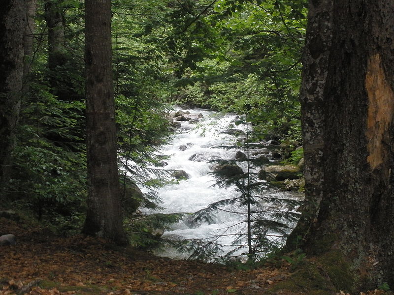 Naturpark Rila-Kloster