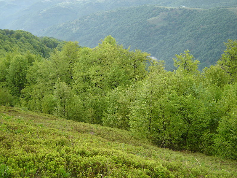 Osogowska Płanina