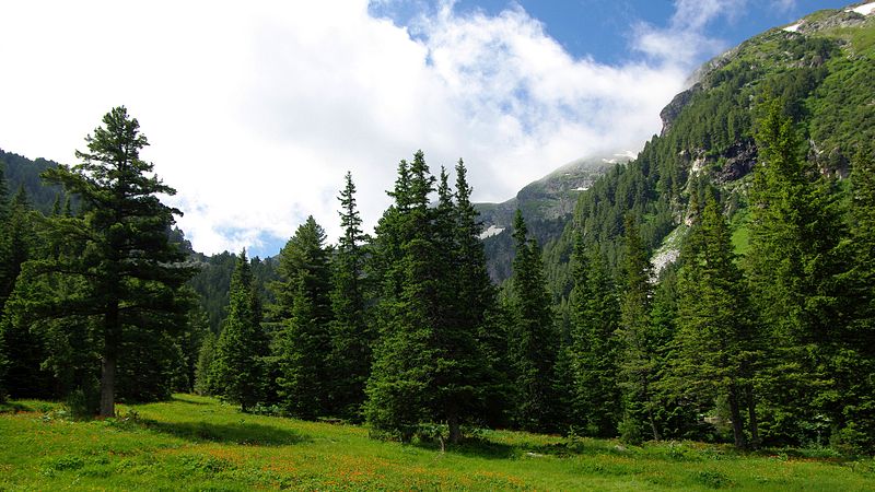 Naturpark Rila-Kloster