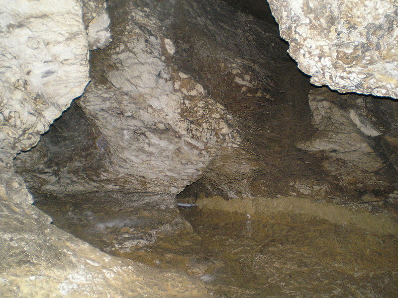 Cueva Bacho Kiro