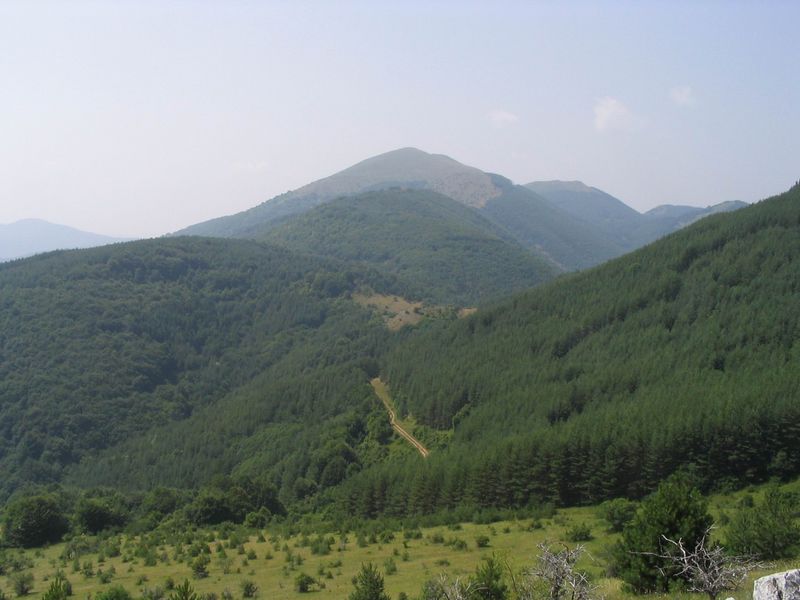 Ruy Mountain