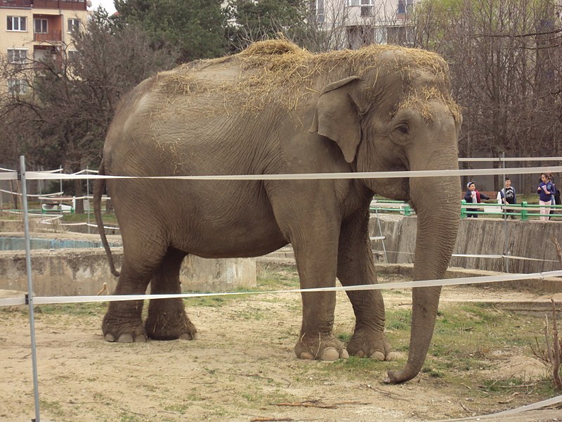 Zoo Sofia