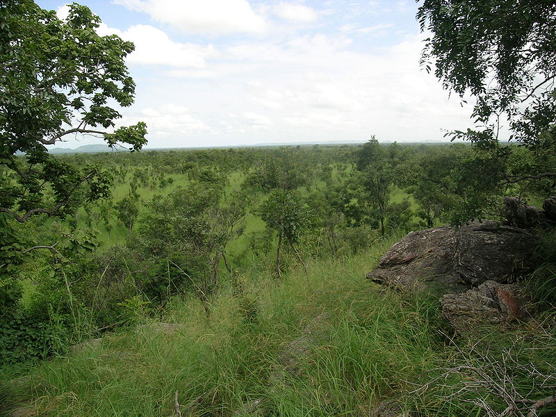 Parc national de la Pendjari
