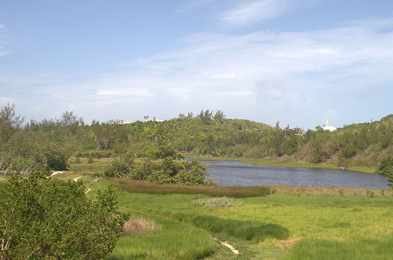 Rezerwat Przyrody Spittal Pond