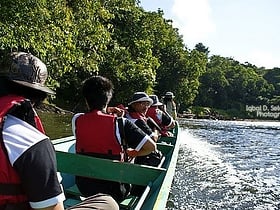 Park Narodowy Ulu Temburong