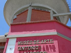 art museum of antonio paredes candia la paz