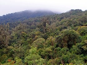Parque nacional Amboró