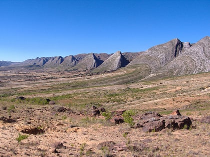 Bolivian montane dry forests
